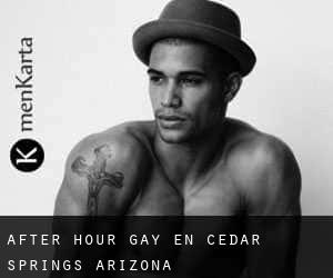 After Hour Gay en Cedar Springs (Arizona)