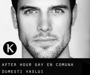After Hour Gay en Comuna Dumeşti (Vaslui)