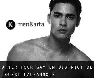 After Hour Gay en District de l'Ouest lausannois