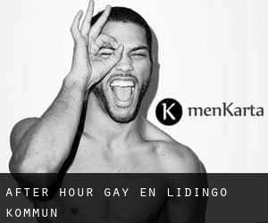 After Hour Gay en Lidingö Kommun