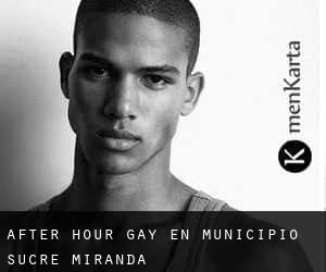 After Hour Gay en Municipio Sucre (Miranda)