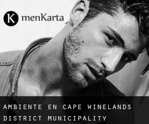 Ambiente en Cape Winelands District Municipality