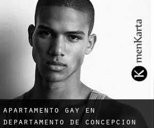 Apartamento Gay en Departamento de Concepción