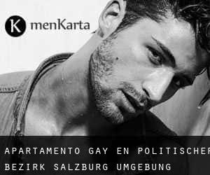 Apartamento Gay en Politischer Bezirk Salzburg Umgebung