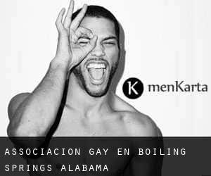 Associacion Gay en Boiling Springs (Alabama)