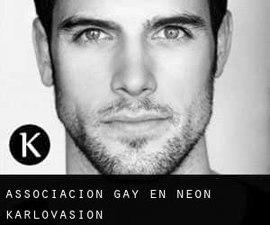 Associacion Gay en Néon Karlovásion