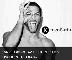 Baño Turco Gay en Mineral Springs (Alabama)