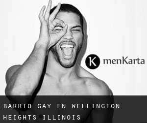 Barrio Gay en Wellington Heights (Illinois)