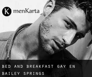 Bed and Breakfast Gay en Bailey Springs