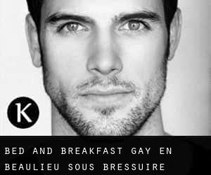 Bed and Breakfast Gay en Beaulieu-sous-Bressuire