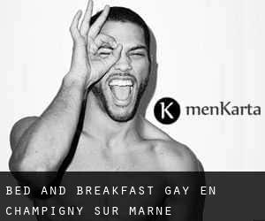 Bed and Breakfast Gay en Champigny-sur-Marne