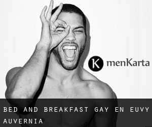 Bed and Breakfast Gay en Euvy (Auvernia)