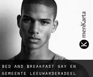 Bed and Breakfast Gay en Gemeente Leeuwarderadeel