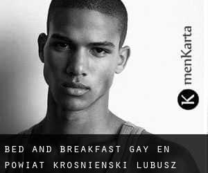 Bed and Breakfast Gay en Powiat krośnieński (Lubusz)