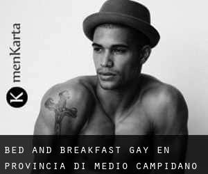 Bed and Breakfast Gay en Provincia di Medio Campidano