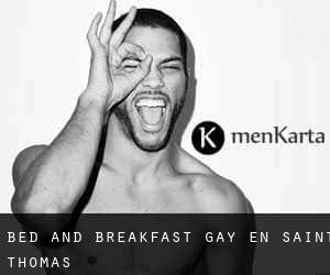Bed and Breakfast Gay en Saint Thomas