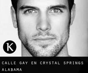 Calle Gay en Crystal Springs (Alabama)