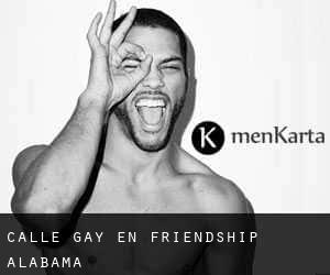 Calle Gay en Friendship (Alabama)