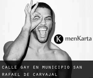 Calle Gay en Municipio San Rafael de Carvajal