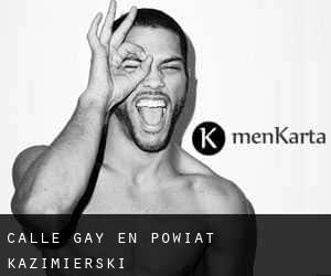 Calle Gay en Powiat kazimierski