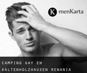 Camping Gay en Kaltenholzhausen (Renania-Palatinado)
