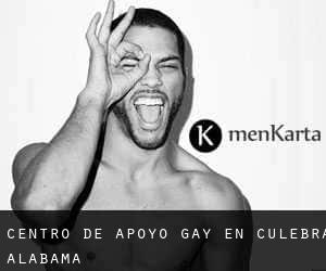 Centro de Apoyo Gay en Culebra (Alabama)