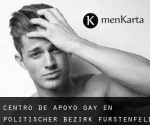 Centro de Apoyo Gay en Politischer Bezirk Fürstenfeld