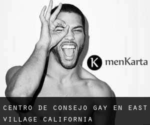Centro de Consejo Gay en East Village (California)