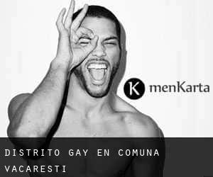 Distrito Gay en Comuna Văcăreşti