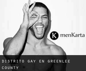 Distrito Gay en Greenlee County