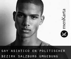Gay Asiático en Politischer Bezirk Salzburg Umgebung