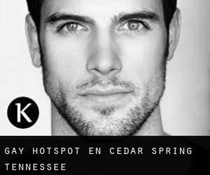 Gay Hotspot en Cedar Spring (Tennessee)
