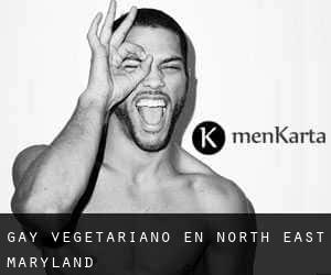 Gay Vegetariano en North East (Maryland)