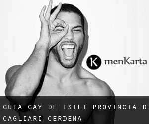 guía gay de Isili (Provincia di Cagliari, Cerdeña)