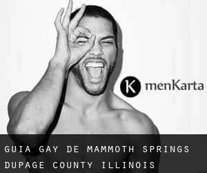 guía gay de Mammoth Springs (DuPage County, Illinois)