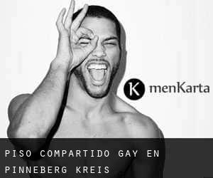 Piso Compartido Gay en Pinneberg Kreis