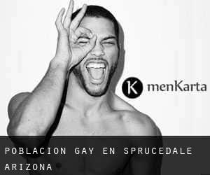 Población Gay en Sprucedale (Arizona)