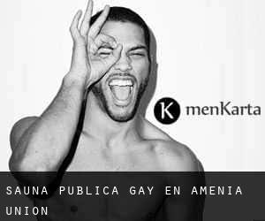 Sauna Pública Gay en Amenia Union
