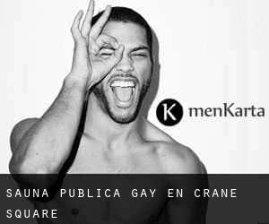 Sauna Pública Gay en Crane Square