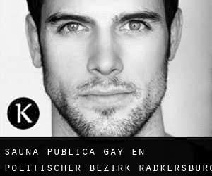 Sauna Pública Gay en Politischer Bezirk Radkersburg