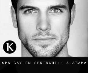 Spa Gay en Springhill (Alabama)